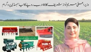 CM Maryam Nawaz Sharif’s New 40 Billion PKR Subsidy Program