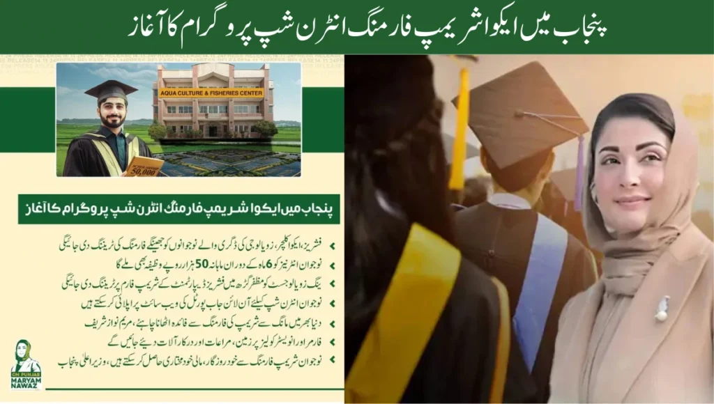 CM Punjab Aqua Shrimp Farming Internship Program For Young Graduates